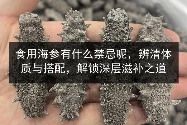 食用海参有什么禁忌呢,辨清体质与搭配,解锁深层滋补之道