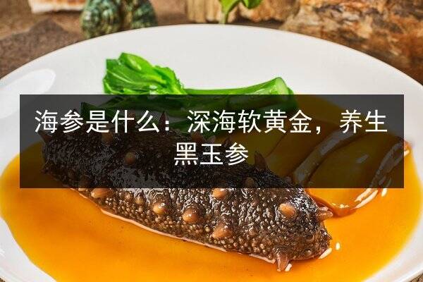 海参是什么:深海软黄金,养生黑玉参