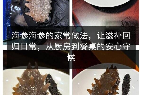 海参海参的家常做法，让滋补回归日常，从厨房到餐桌的安心守候