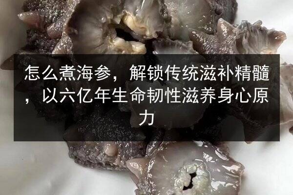 怎么煮海参,解锁传统滋补精髓,以六亿年生命韧性滋养身心原力