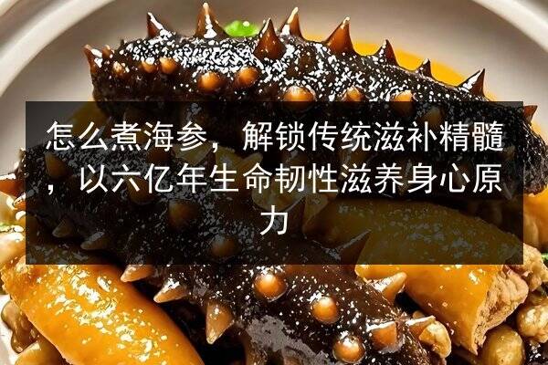 怎么煮海参,解锁传统滋补精髓,以六亿年生命韧性滋养身心原力