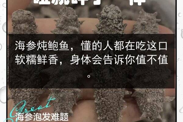 海参炖鲍鱼,懂的人都在吃这口软糯鲜香,身体会告诉你值不值。