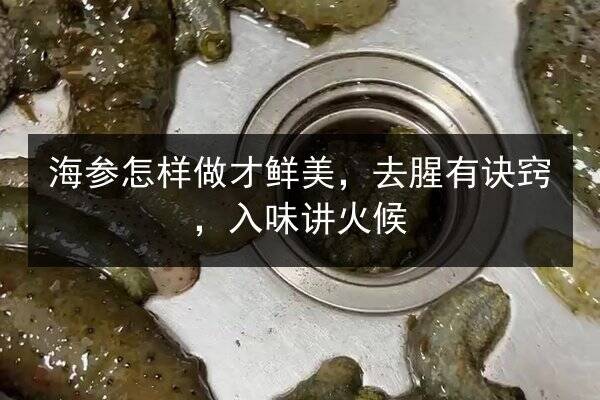 海参怎样做才鲜美,去腥有诀窍,入味讲火候