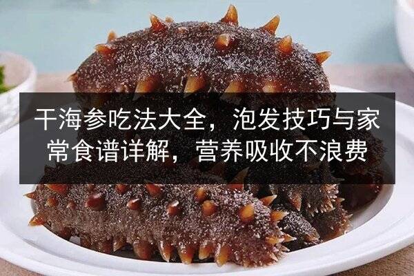 干海参吃法大全，泡发技巧与家常食谱详解，营养吸收不浪费