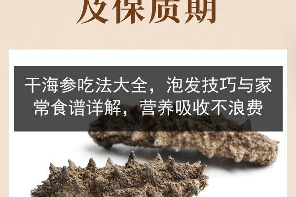 干海参吃法大全，泡发技巧与家常食谱详解，营养吸收不浪费