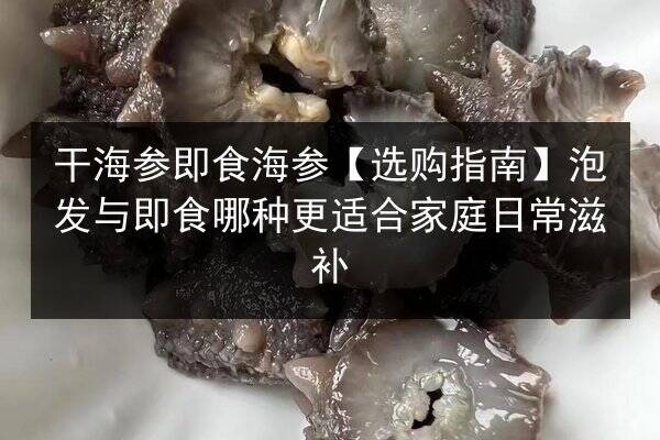干海参即食海参【选购指南】泡发与即食哪种更适合家庭日常滋补