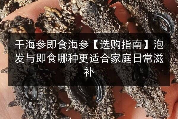 干海参即食海参【选购指南】泡发与即食哪种更适合家庭日常滋补
