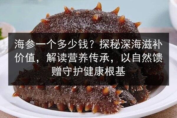 海参一个多少钱?探秘深海滋补价值,解读营养传承,以自然馈赠守护健康根基