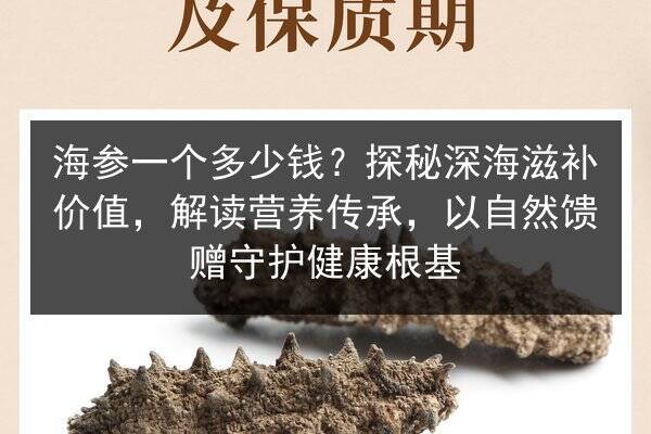 海参一个多少钱?探秘深海滋补价值,解读营养传承,以自然馈赠守护健康根基
