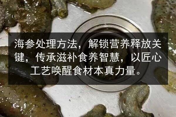 海参处理方法，解锁营养释放关键，传承滋补食养智慧，以匠心工艺唤醒食材本真力量。