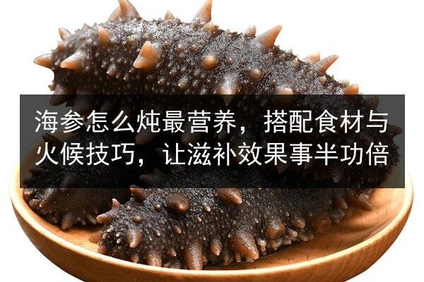 海参怎么炖最营养,搭配食材与火候技巧,让滋补效果事半功倍