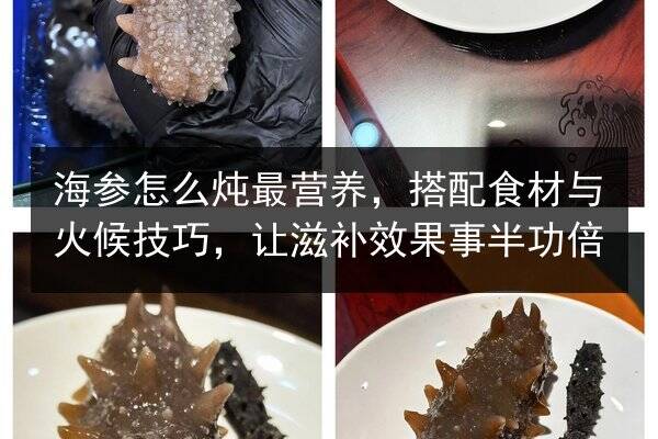 海参怎么炖最营养,搭配食材与火候技巧,让滋补效果事半功倍