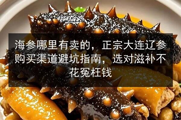 海参哪里有卖的,正宗大连辽参购买渠道避坑指南,选对滋补不花冤枉钱