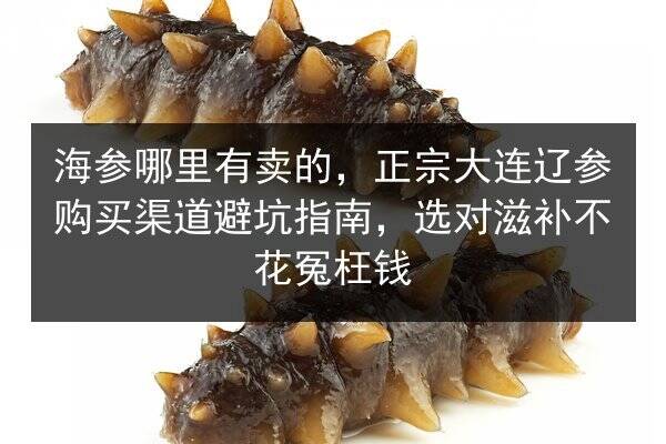 海参哪里有卖的,正宗大连辽参购买渠道避坑指南,选对滋补不花冤枉钱