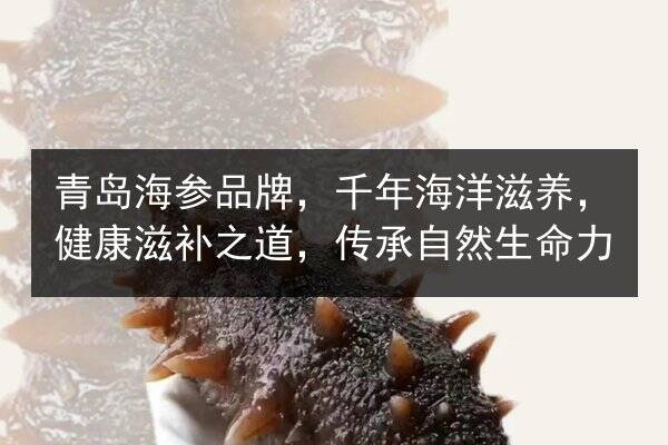 青岛海参品牌,千年海洋滋养,健康滋补之道,传承自然生命力