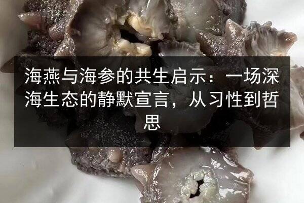 海燕与海参的共生启示:一场深海生态的静默宣言,从习性到哲思