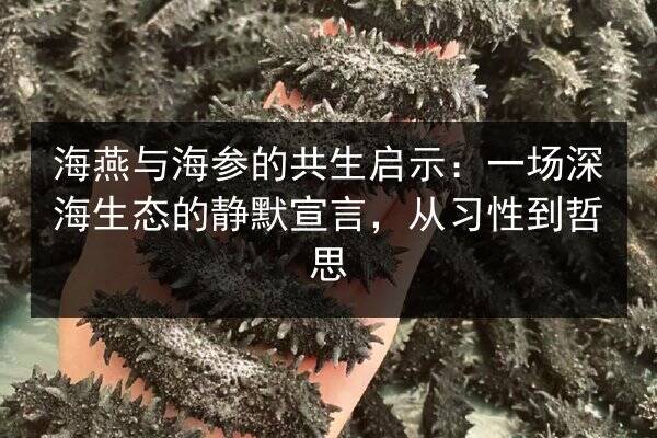 海燕与海参的共生启示:一场深海生态的静默宣言,从习性到哲思