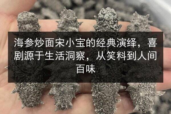 海参炒面宋小宝的经典演绎,喜剧源于生活洞察,从笑料到人间百味