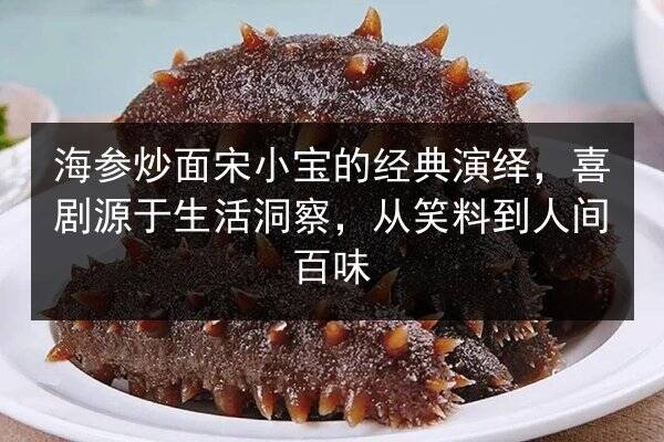 海参炒面宋小宝的经典演绎,喜剧源于生活洞察,从笑料到人间百味