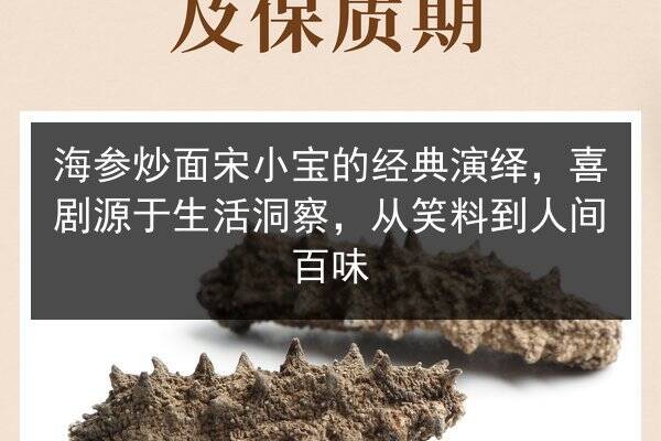 海参炒面宋小宝的经典演绎,喜剧源于生活洞察,从笑料到人间百味