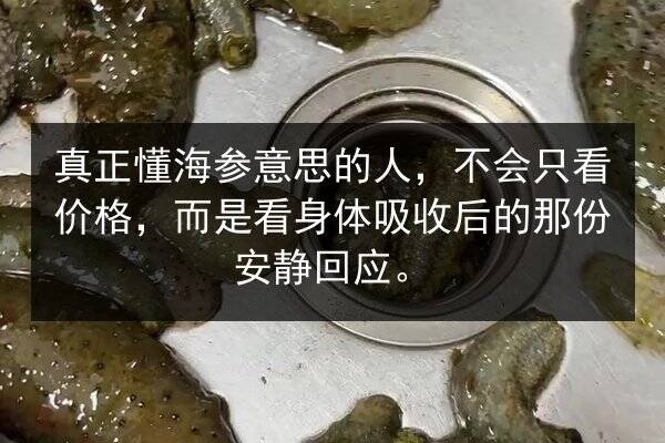 真正懂海参意思的人,不会只看价格,而是看身体吸收后的那份安静回应。