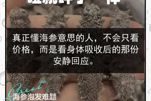 真正懂海参意思的人,不会只看价格,而是看身体吸收后的那份安静回应。