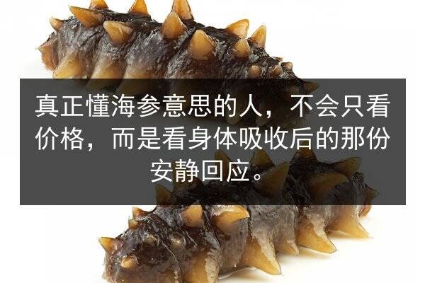 真正懂海参意思的人,不会只看价格,而是看身体吸收后的那份安静回应。