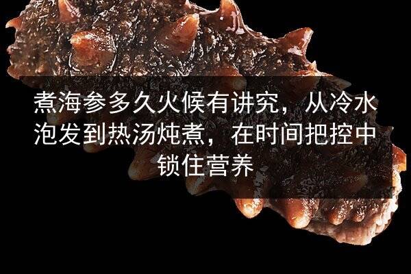 煮海参多久火候有讲究,从冷水泡发到热汤炖煮,在时间把控中锁住营养