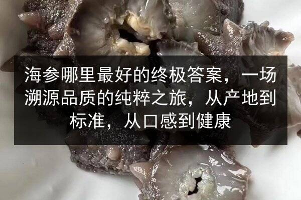 海参哪里最好的终极答案,一场溯源品质的纯粹之旅,从产地到标准,从口感到健康