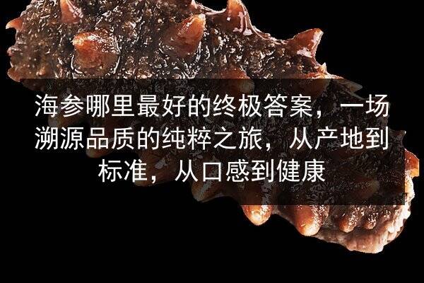 海参哪里最好的终极答案,一场溯源品质的纯粹之旅,从产地到标准,从口感到健康