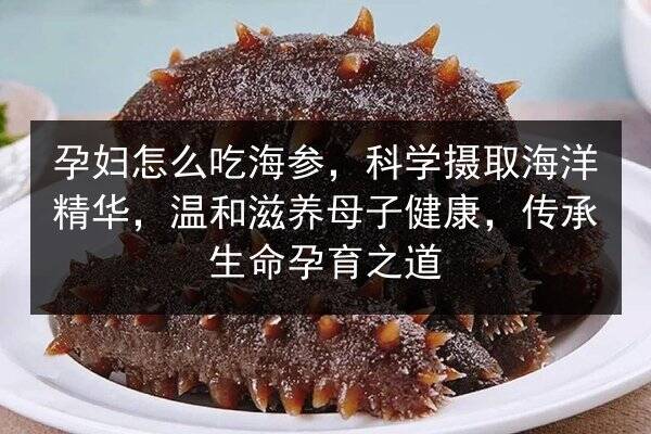 孕妇怎么吃海参,科学摄取海洋精华,温和滋养母子健康,传承生命孕育之道