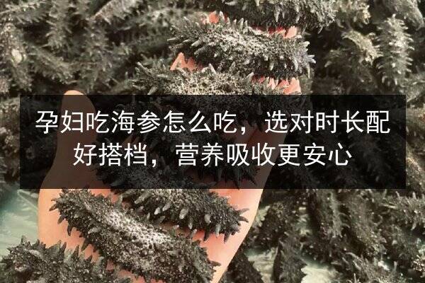 孕妇吃海参怎么吃，选对时长配好搭档，营养吸收更安心