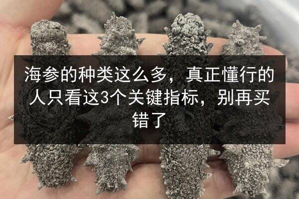 海参的种类这么多，真正懂行的人只看这3个关键指标，别再买错了