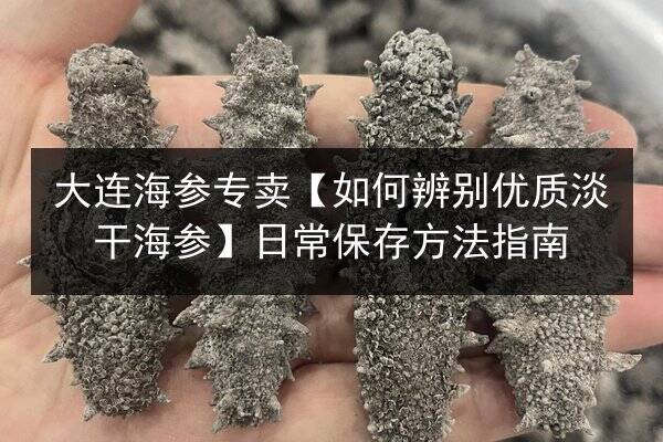 大连海参专卖【如何辨别优质淡干海参】日常保存方法指南