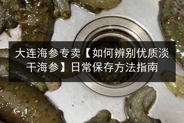 大连海参专卖【如何辨别优质淡干海参】日常保存方法指南