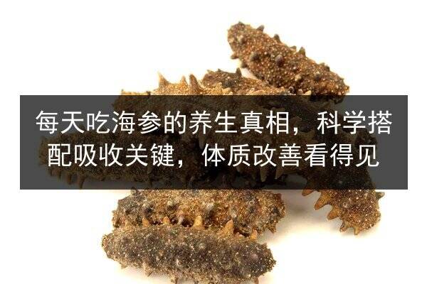 每天吃海参的养生真相，科学搭配吸收关键，体质改善看得见