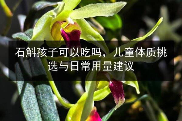 怎样吃海参:选对方法锁住营养,掌握火候激发鲜味