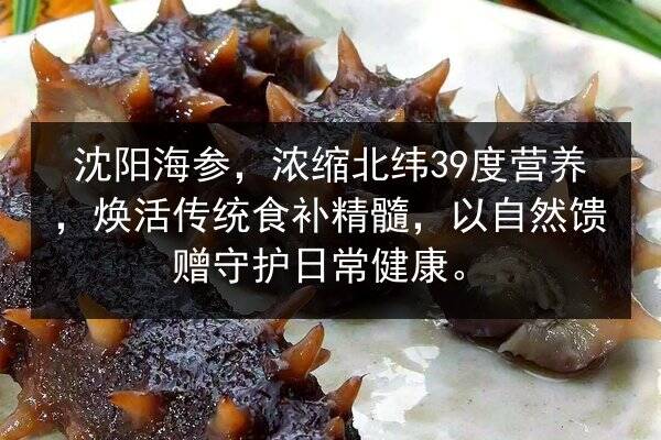 沈阳海参，浓缩北纬39度营养，焕活传统食补精髓，以自然馈赠守护日常健康。