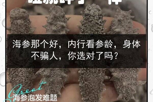 海参那个好，内行看参龄，身体不骗人，你选对了吗？