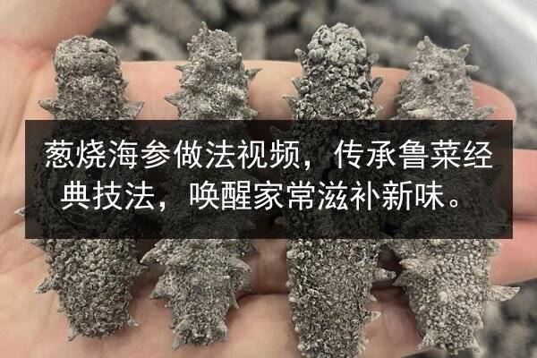 葱烧海参做法视频,传承鲁菜经典技法,唤醒家常滋补新味。