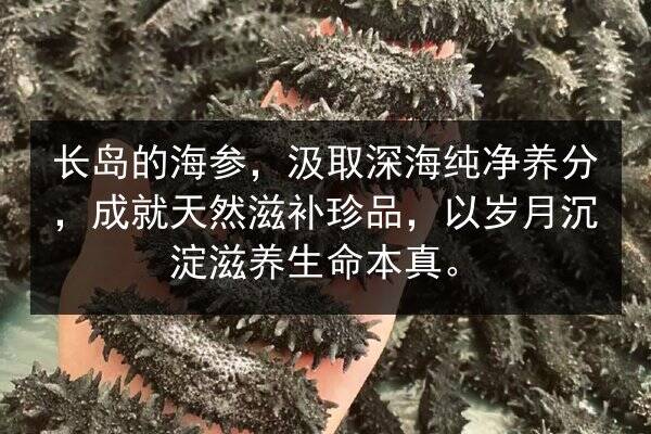 长岛的海参,汲取深海纯净养分,成就天然滋补珍品,以岁月沉淀滋养生命本真。