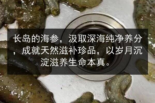 长岛的海参,汲取深海纯净养分,成就天然滋补珍品,以岁月沉淀滋养生命本真。