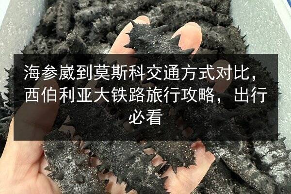 海参崴到莫斯科交通方式对比，西伯利亚大铁路旅行攻略，出行必看