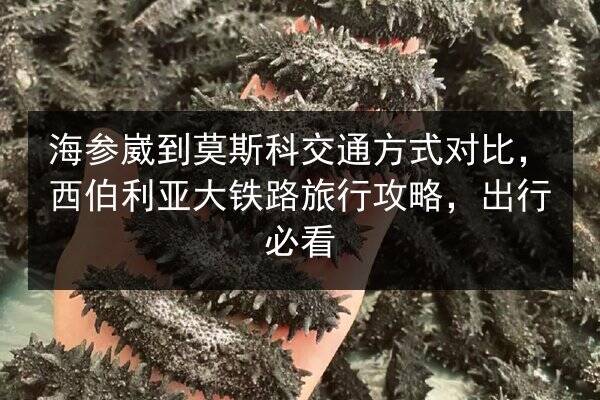 海参崴到莫斯科交通方式对比，西伯利亚大铁路旅行攻略，出行必看