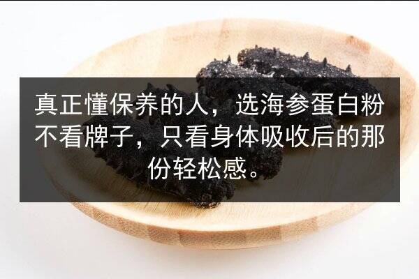 真正懂保养的人,选海参蛋白粉不看牌子,只看身体吸收后的那份轻松感。