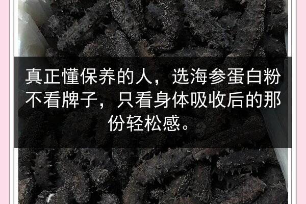 真正懂保养的人,选海参蛋白粉不看牌子,只看身体吸收后的那份轻松感。