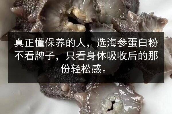 真正懂保养的人,选海参蛋白粉不看牌子,只看身体吸收后的那份轻松感。