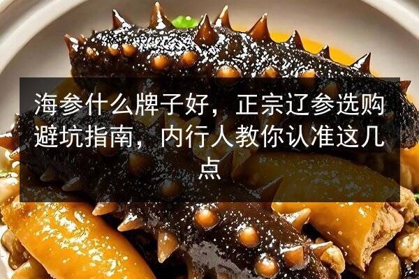 海参什么牌子好,正宗辽参选购避坑指南,内行人教你认准这几点