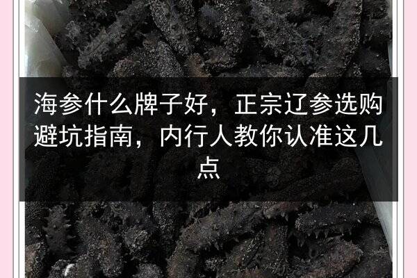 海参什么牌子好,正宗辽参选购避坑指南,内行人教你认准这几点