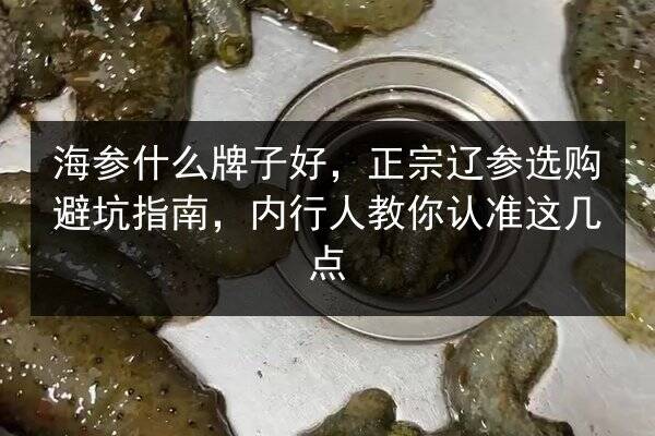 海参什么牌子好,正宗辽参选购避坑指南,内行人教你认准这几点